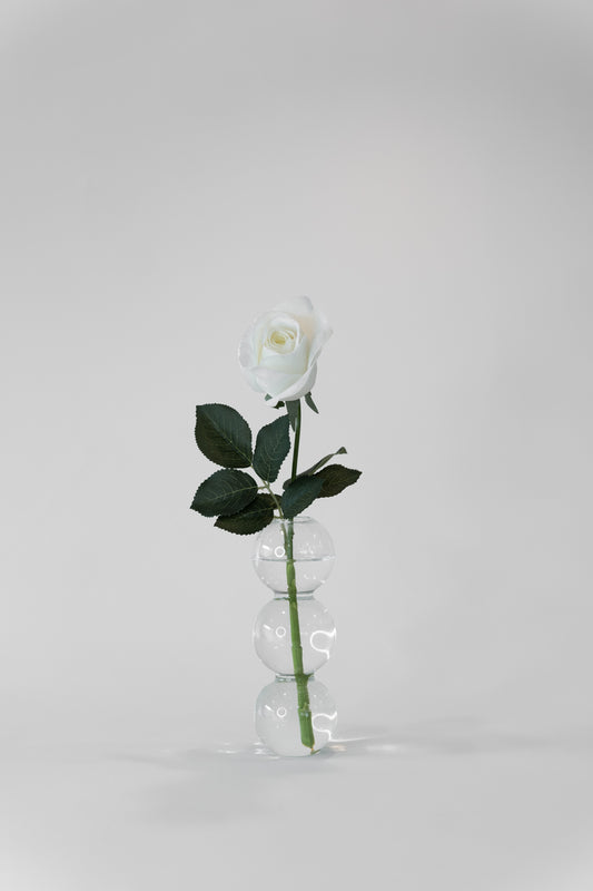 Petite Alba Rose