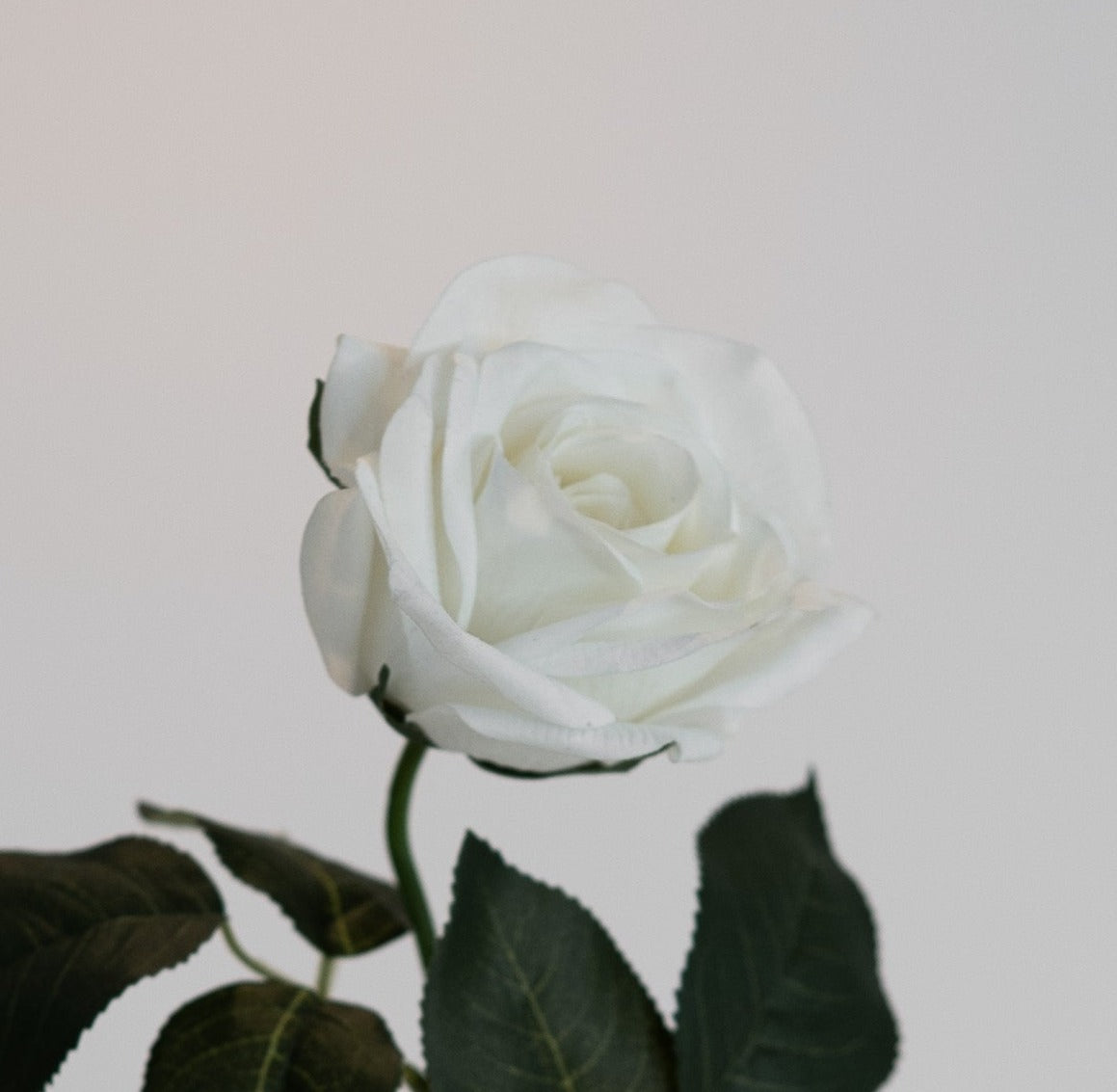 Grandiflora White Rose - Real Touch Artificial Rose for Weddings